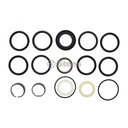 Stens 1701-1319 Atlantic Parts Loader Cyl Packing Kit CaseIH G109484