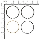 Briggs &amp; Stratton Genuine 791969 RING SET-STD Replacement Part