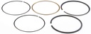 Briggs &amp; Stratton Genuine 791969 RING SET-STD Replacement Part
