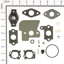 Briggs &amp; Stratton Genuine 792383 KIT-CARB OVERHAUL Replacement Part