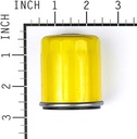 Briggs &amp; Stratton Genuine 795990 FILTER-OIL Replacement Part