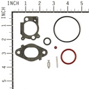Briggs &amp; Stratton Genuine 796612 KIT-CARB OVERHAUL Replacement Part