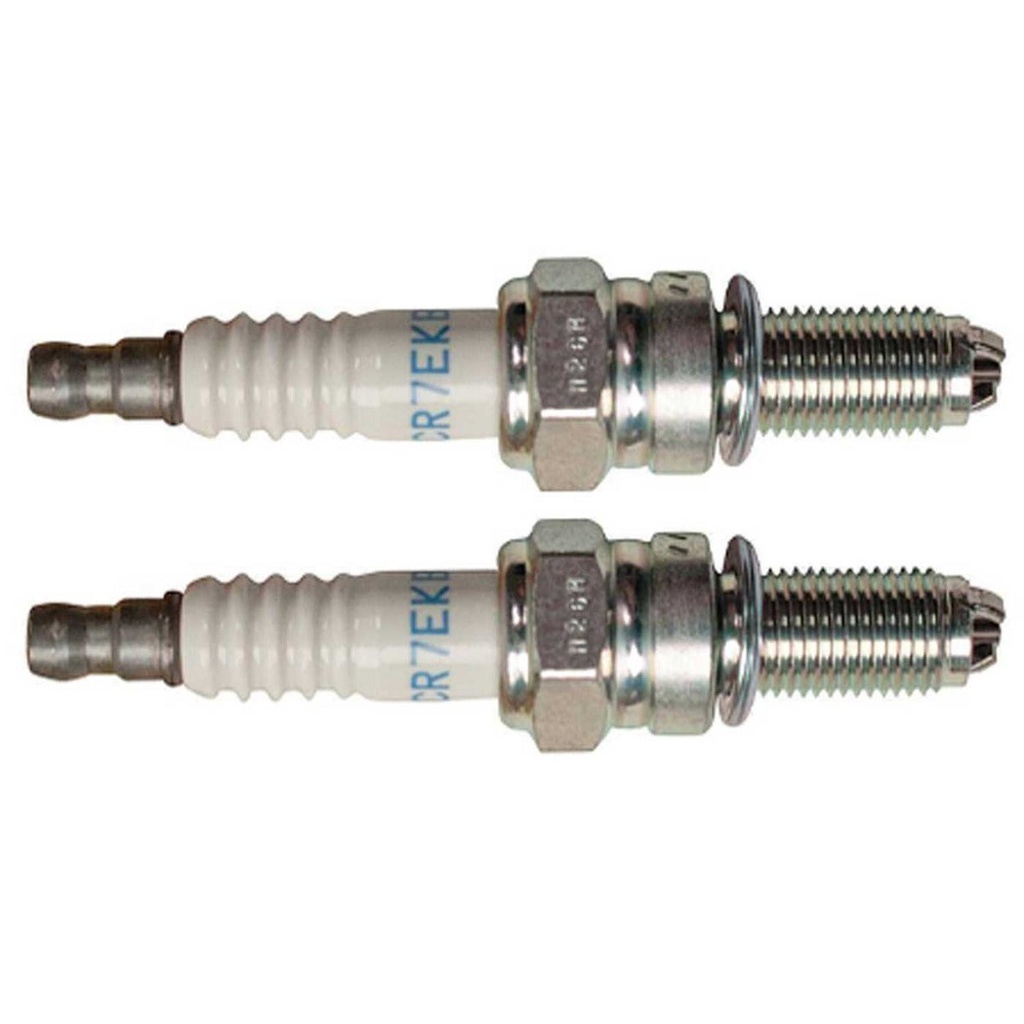 2 Pack of Stens 130-809 NGK Spark Plug NGK 4455 CR7EKB OEM Replacement