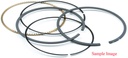 Briggs &amp; Stratton Genuine 791792 RING SET-020 Replacement Part