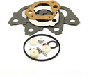 Briggs &amp; Stratton Genuine 792006 KIT-CARB OVERHAUL Replacement Part
