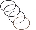Briggs &amp; Stratton Genuine 792026 RING SET Replacement Part Lawnmower