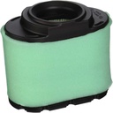 Briggs &amp; Stratton Genuine 792105 FILTER-AIR CLEANER CA Replacement Part