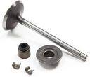 Briggs &amp; Stratton Genuine 793556 VALVE-INTAKE Replacement Part
