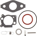 Briggs &amp; Stratton Genuine 793622 KIT-CARB OVERHAUL Replacement Part