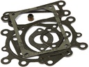 Briggs &amp; Stratton Genuine 794152 GASKET SET-VALVE Replacement Part