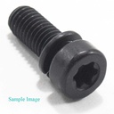 Briggs &amp; Stratton Genuine 795047 SCREW Replacement Part