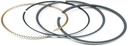 Briggs &amp; Stratton Genuine 795431 RING SET Replacement Part 110000 111000