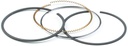 Briggs &amp; Stratton Genuine 795690 RING SET Replacement Part