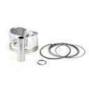 Briggs &amp; Stratton Genuine 795877 PISTON ASSEMBLY-020 Lawnmower