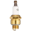 Briggs &amp; Stratton Genuine 796560 PLUG-SPARK Replacement Part
