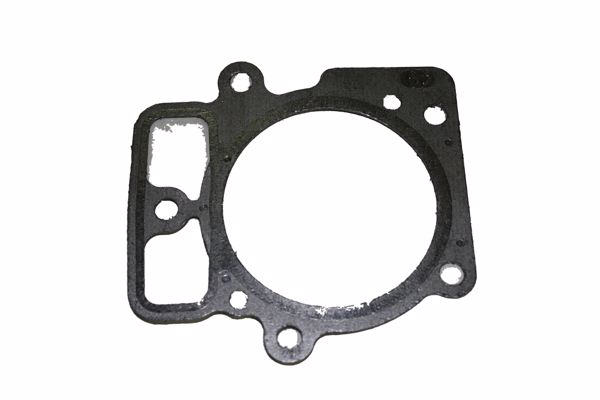 Briggs &amp; Stratton Genuine 796851 GASKET-CYLINDER HEAD Replacement Part