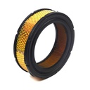 Briggs &amp; Stratton Genuine 841856 FILTER-A/C CARTRIDGE Replacement Part