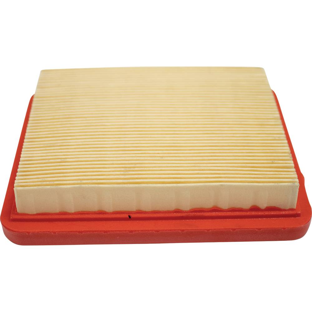 Stens  102-857   
 Stens Air Filter