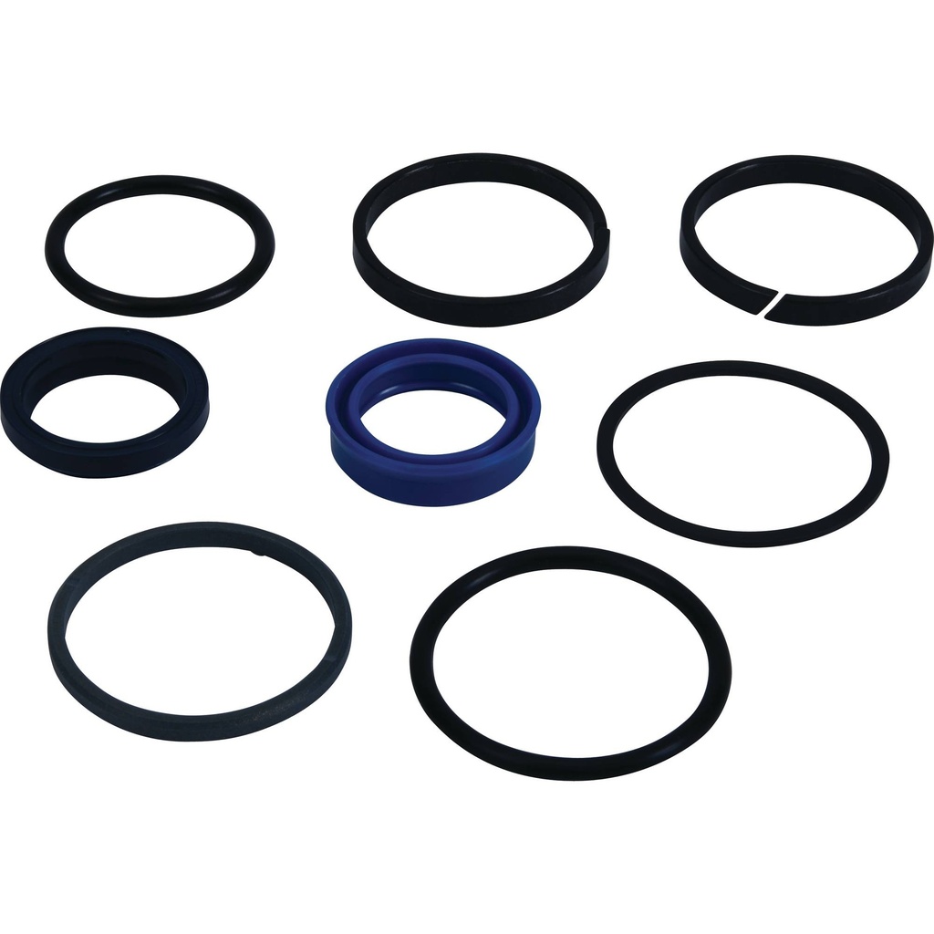 Stens  1901-1253   
 Atlantic Quality Parts Hydraulic Seal Kits