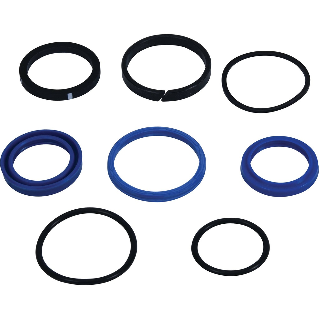 Stens  1901-1257   
 Atlantic Quality Parts Hydraulic Seal Kits