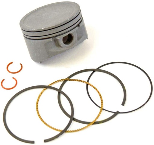 [BS-791786] Briggs &amp; Stratton Genuine 791786 PISTON ASSEMBLY Lawnmower