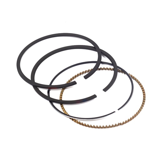 [BS-791969] Briggs &amp; Stratton Genuine 791969 RING SET-STD Replacement Part
