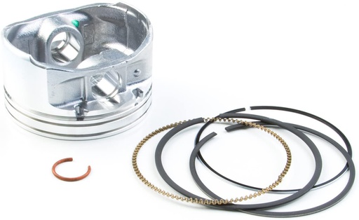 [BS-792023] Briggs &amp; Stratton Genuine 792023 PISTON ASSY-STD Lawnmower