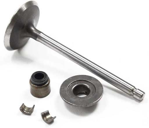 [BS-793556] Briggs &amp; Stratton Genuine 793556 VALVE-INTAKE Replacement Part