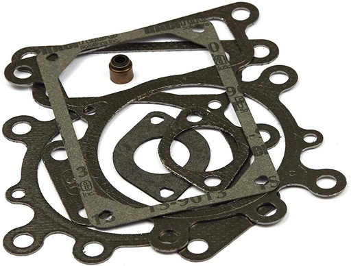 [BS-794152] Briggs &amp; Stratton Genuine 794152 GASKET SET-VALVE Replacement Part
