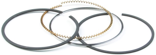 [BS-795690] Briggs &amp; Stratton Genuine 795690 RING SET Replacement Part