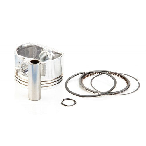 [BS-795877] Briggs &amp; Stratton Genuine 795877 PISTON ASSEMBLY-020 Lawnmower