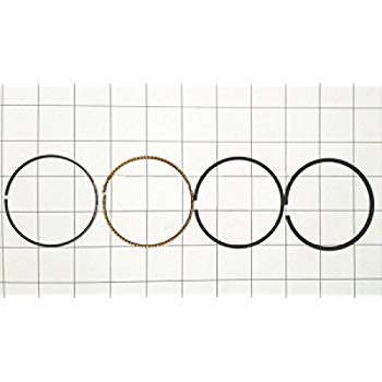 [BS-796911] Briggs &amp; Stratton Genuine 796911 RING SET Replacement Part Lawnmower
