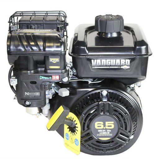 [BS-12V332-0013-F1] Briggs &amp; Stratton Genuine 12V332-0013-F1 ENGINE PACKED SINGLE CARTON Part