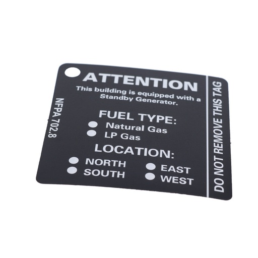 [BS-195200GS] Briggs &amp; Stratton 195200GS DECAL Replacement Part Lawnmower B&amp;S