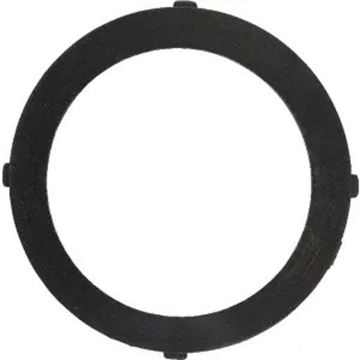 [BS-197765GS] Briggs &amp; Stratton Genuine 197765GS GASKET INTAKE Replacement Part