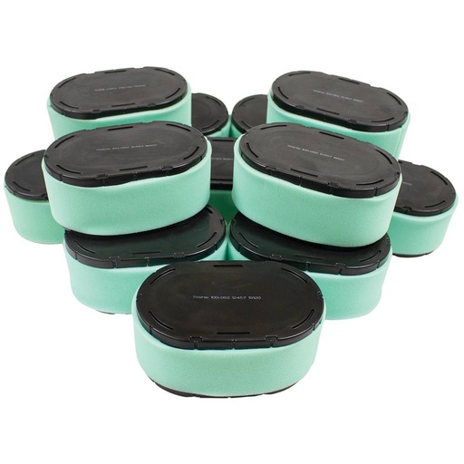 [ST-100-062-12] Stens  100-062-12   
 Stens Air Filter Combo Shop Pack