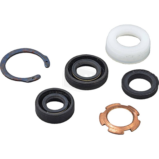 [ST-1101-0991] Stens  1101-0991   
 Atlantic Quality Parts Steering Cylinder Seal Kit